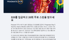 Pinnacle 갤러리